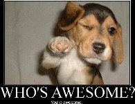 Team Awesome